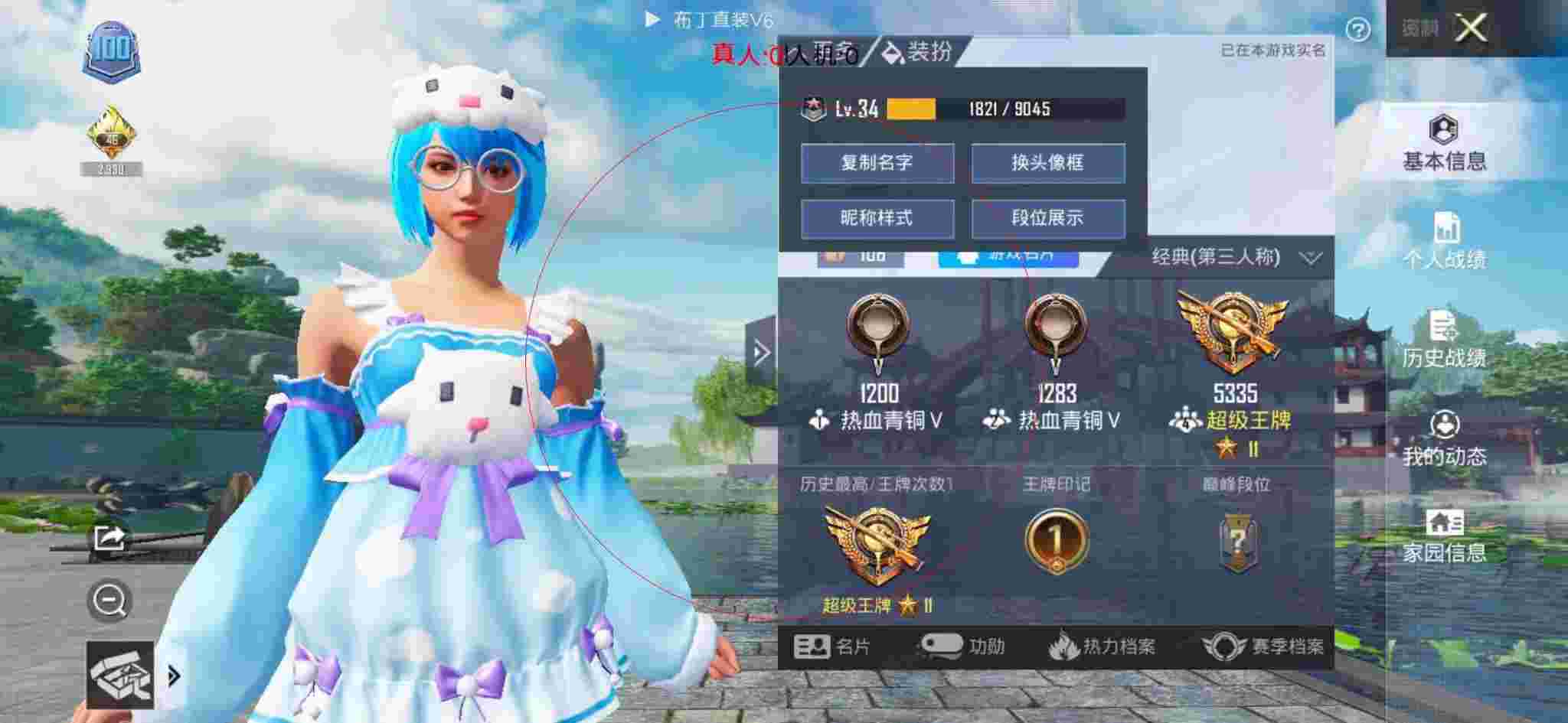 和平精英布丁直装透视 - 大牛辅助和平精英辅助预览图